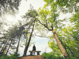 Take Some Daily Mindfulness Action