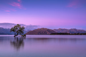 Your Beautiful Calm